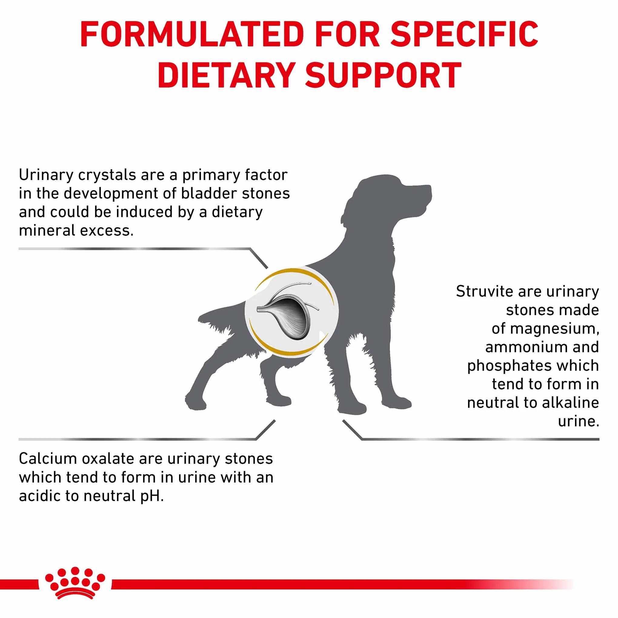 Royal Canin Veterinary Health Nutrition Urinary S/O Dry Dog Food - Image 9