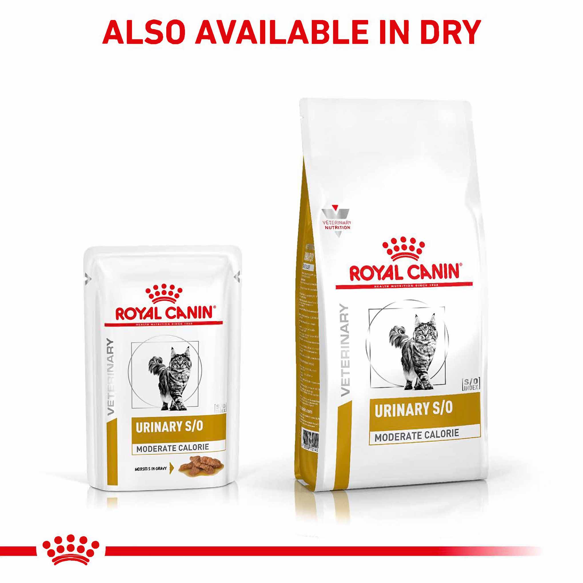 Royal Canin Veterinary Health Nutrition Urinary SO Wet Cat Food in Gravy - 48x85g Pouches - Image 5
