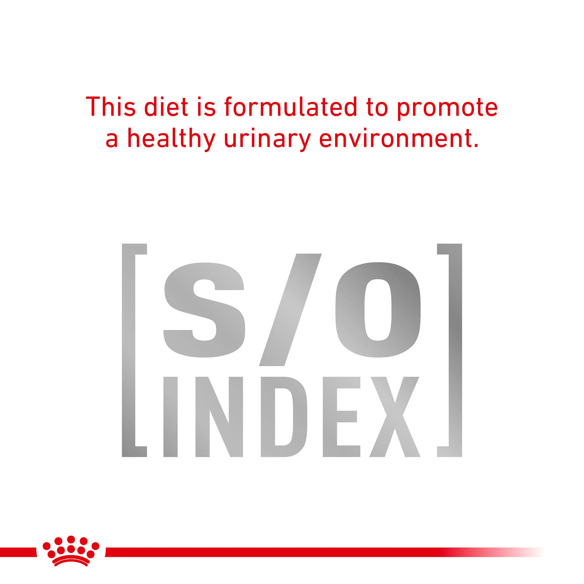 Royal Canin Veterinary Health Sensitivity Control Adult Wet Cat Food in Gravy - Chicken With Rice - 48x85g Pouches - Image 4