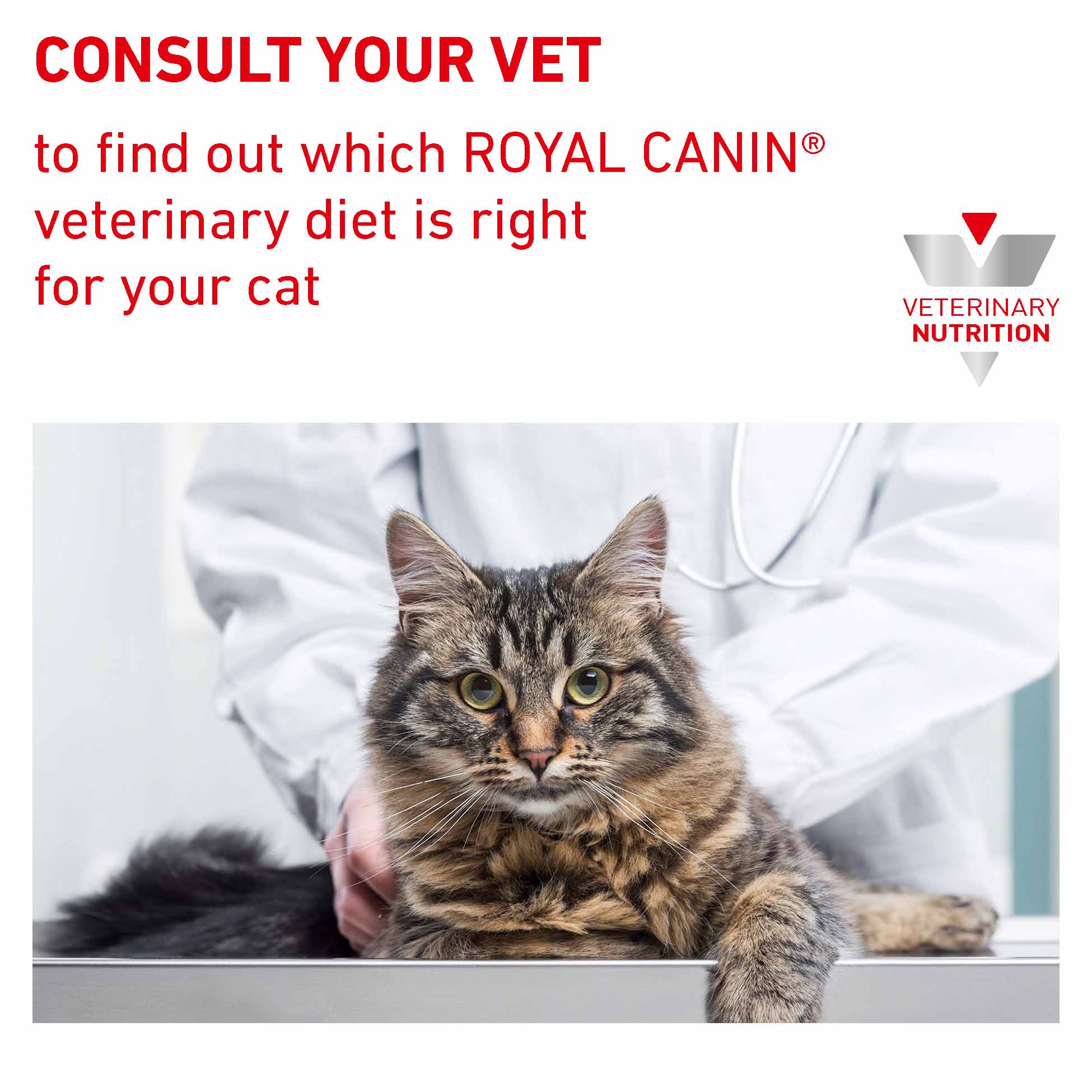 ROYAL CANIN Veterinary Hypoallergenic Adult Dry Cat Food - Image 8