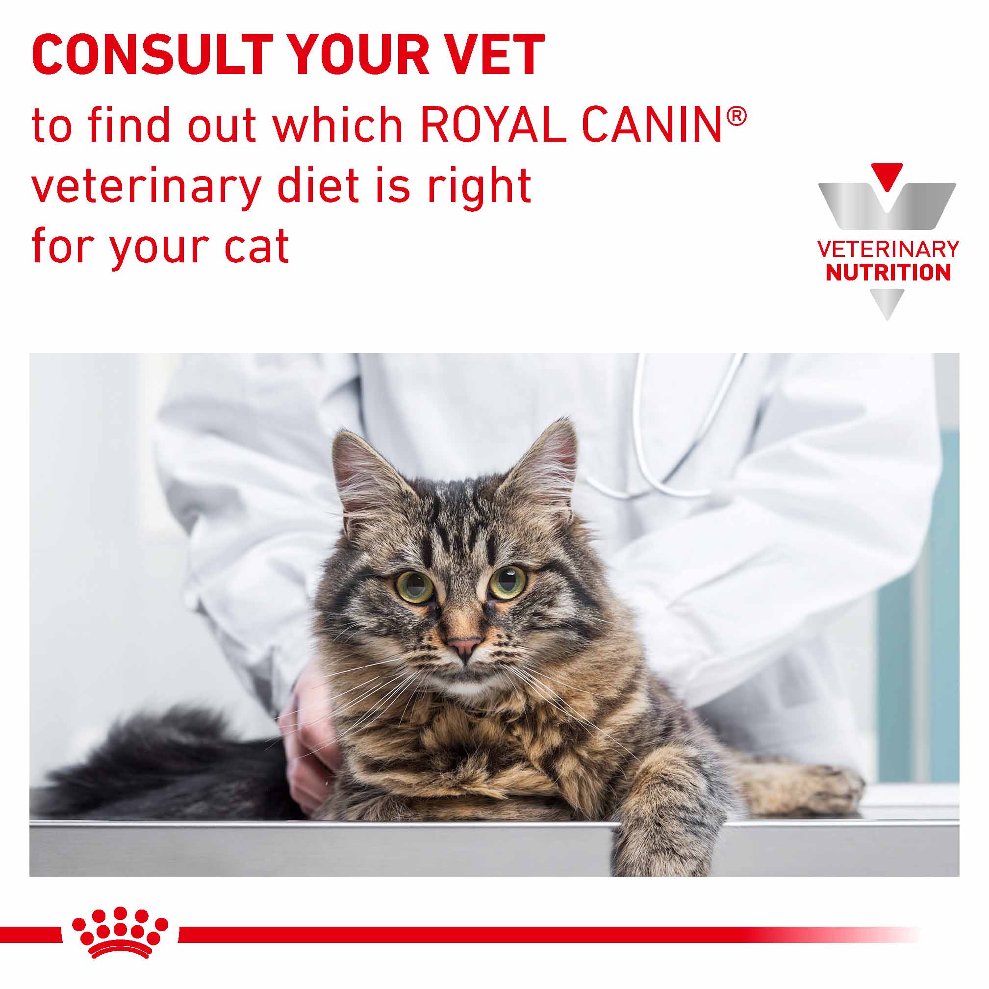 ROYAL CANIN Veterinary Urinary S/O Moderate Calorie Adult Dry Cat Food - Image 9