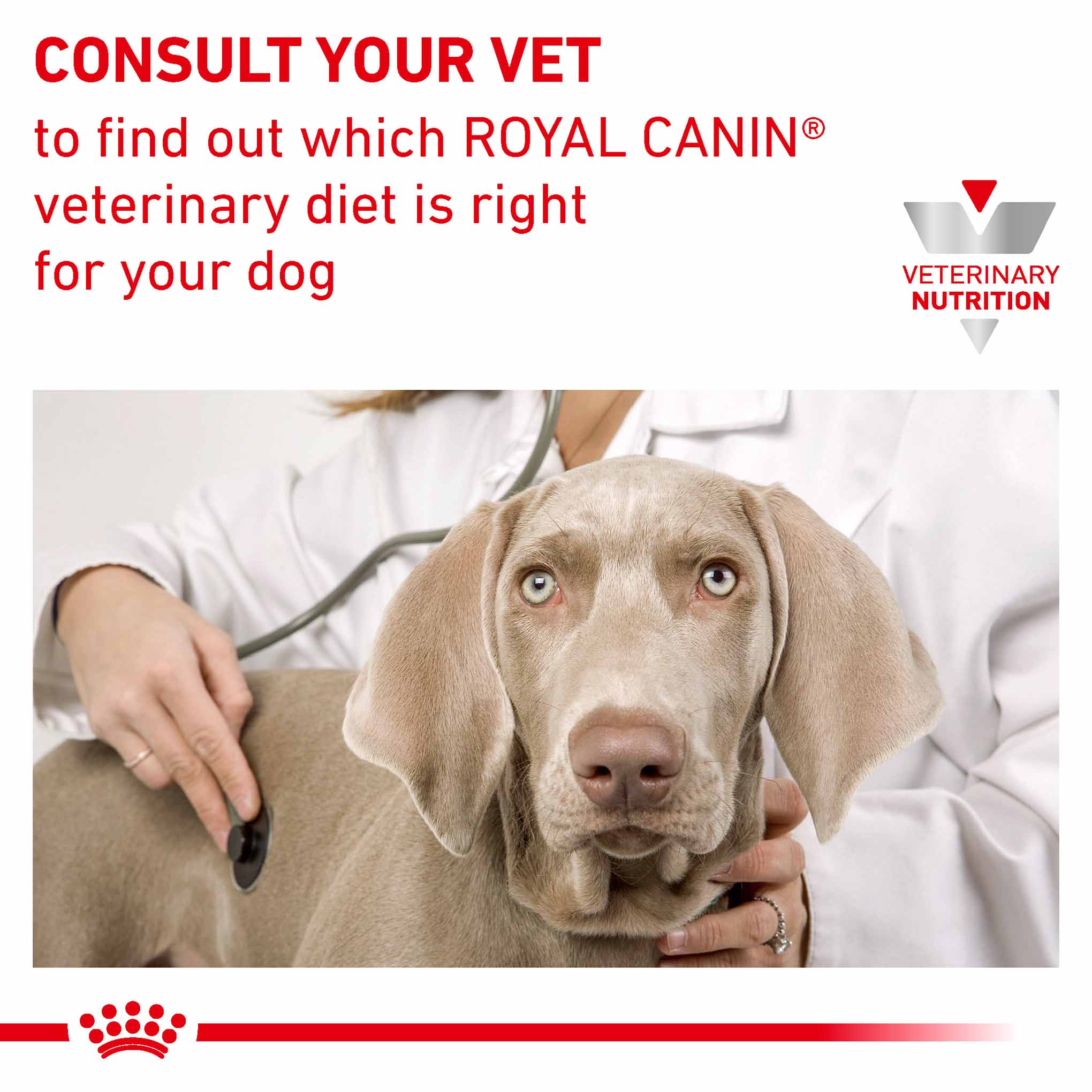 ROYAL CANIN Veterinary Urinary S/O Small Dog Adult Dry Food - Image 8