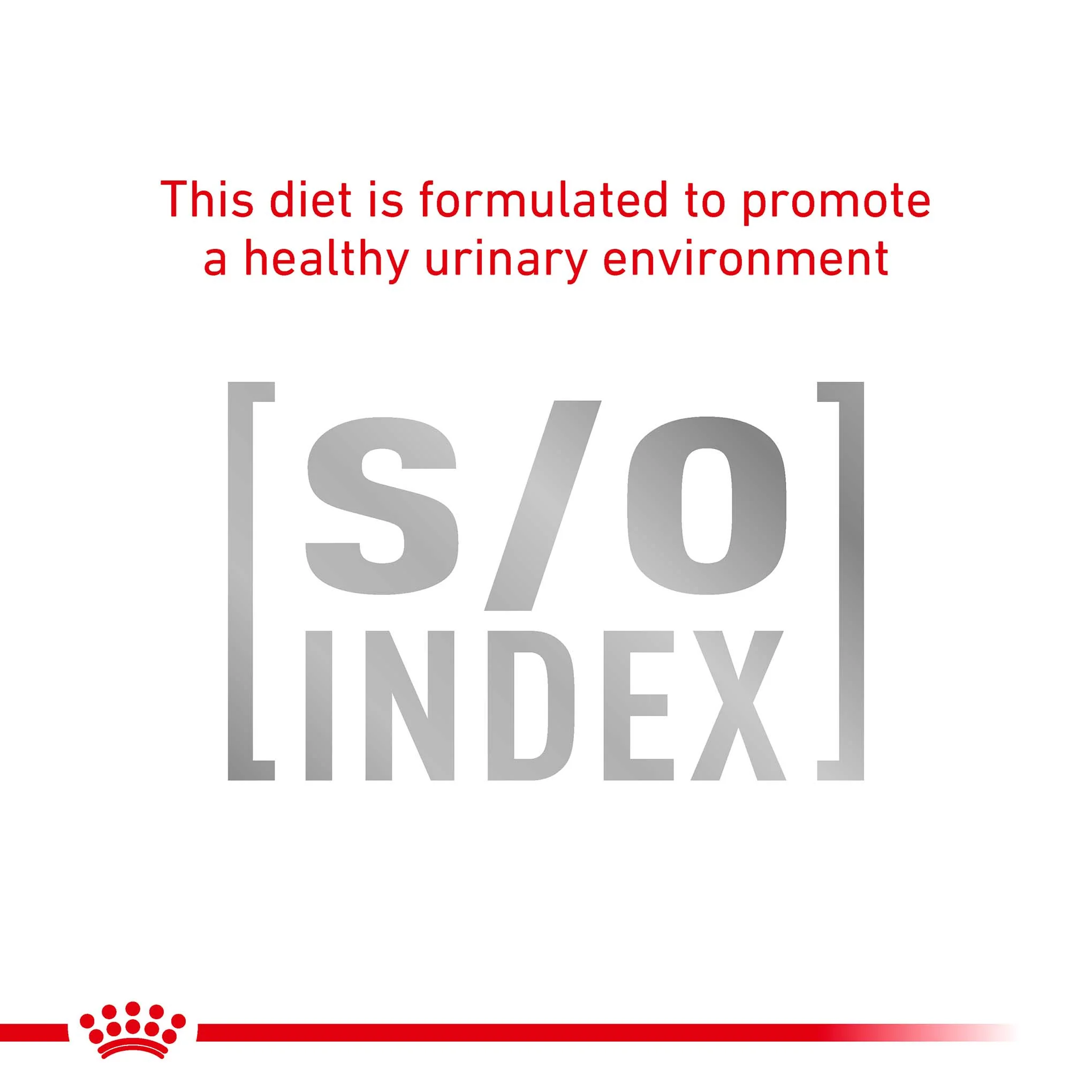 ROYAL CANIN Veterinary Urinary S/O Thin Slices in Gravy Adult Wet Dog Food - 48x100g Pouches - Image 5