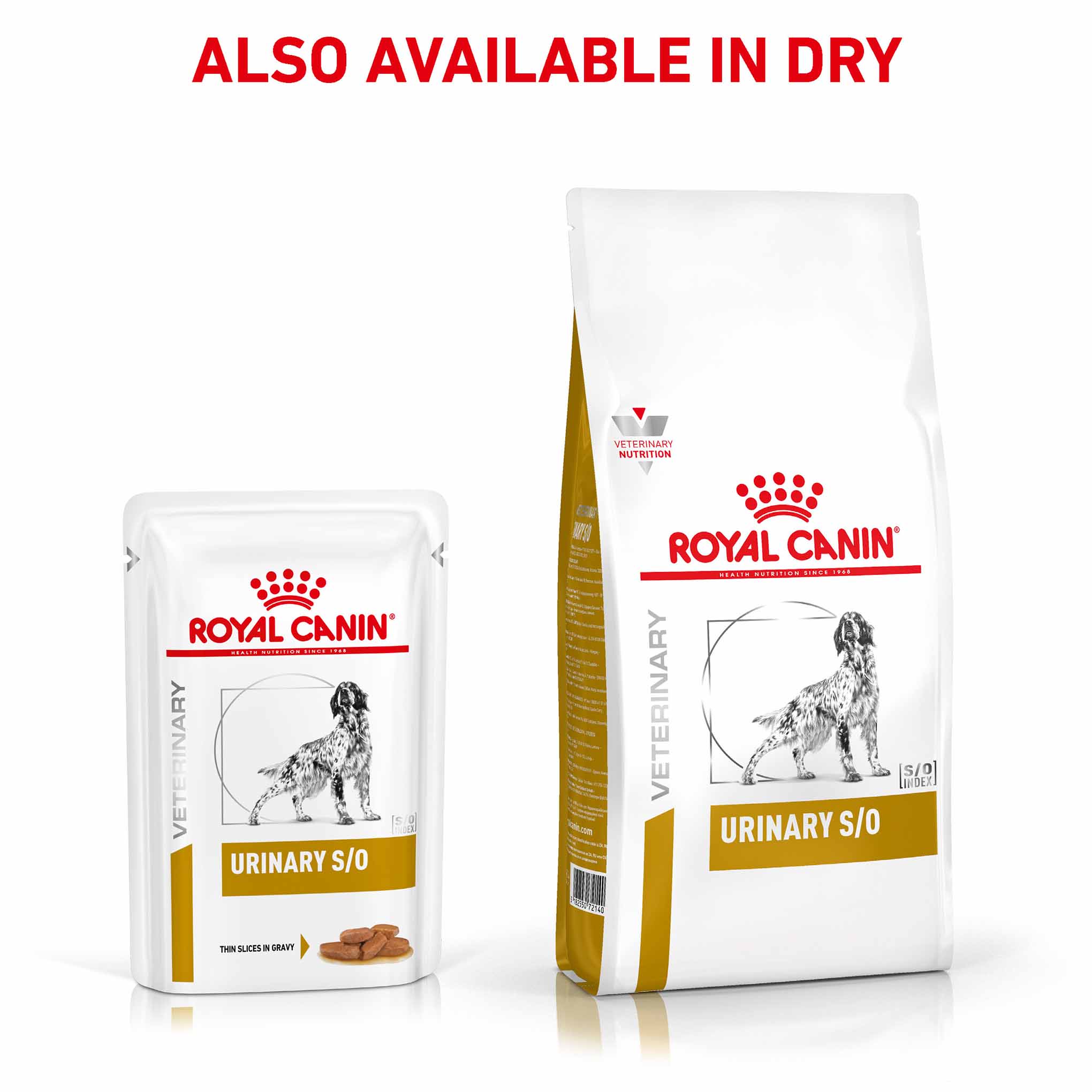 ROYAL CANIN Veterinary Urinary S/O Thin Slices in Gravy Adult Wet Dog Food - 48x100g Pouches - Image 8