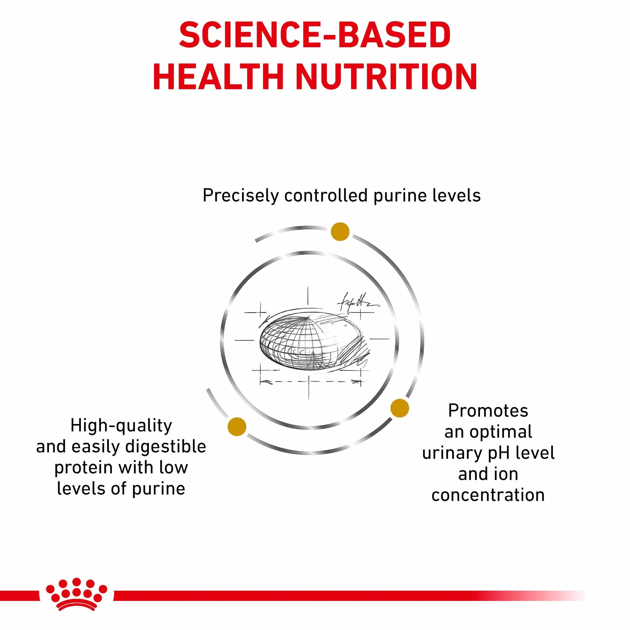 ROYAL CANIN Veterinary Urinary U/C Adult Dry Dog Food - Image 3