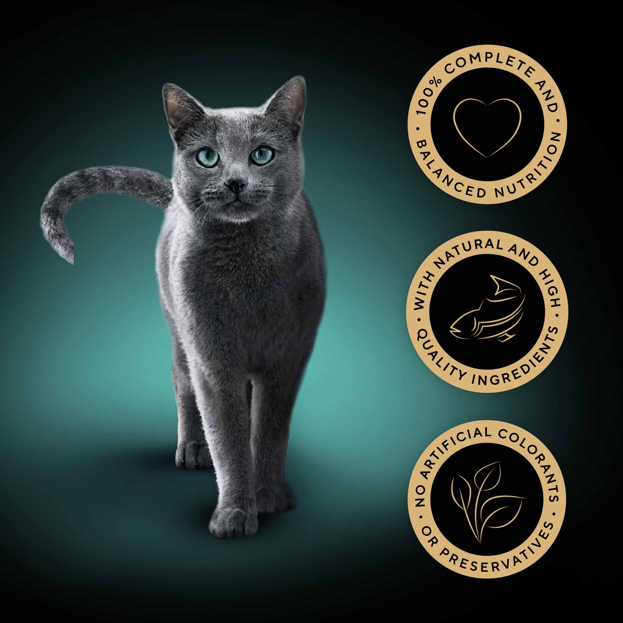 SHEBA Fine Flakes Adult Wet Cat Food in Jelly - Fish - 80x85g Pouches - Image 3