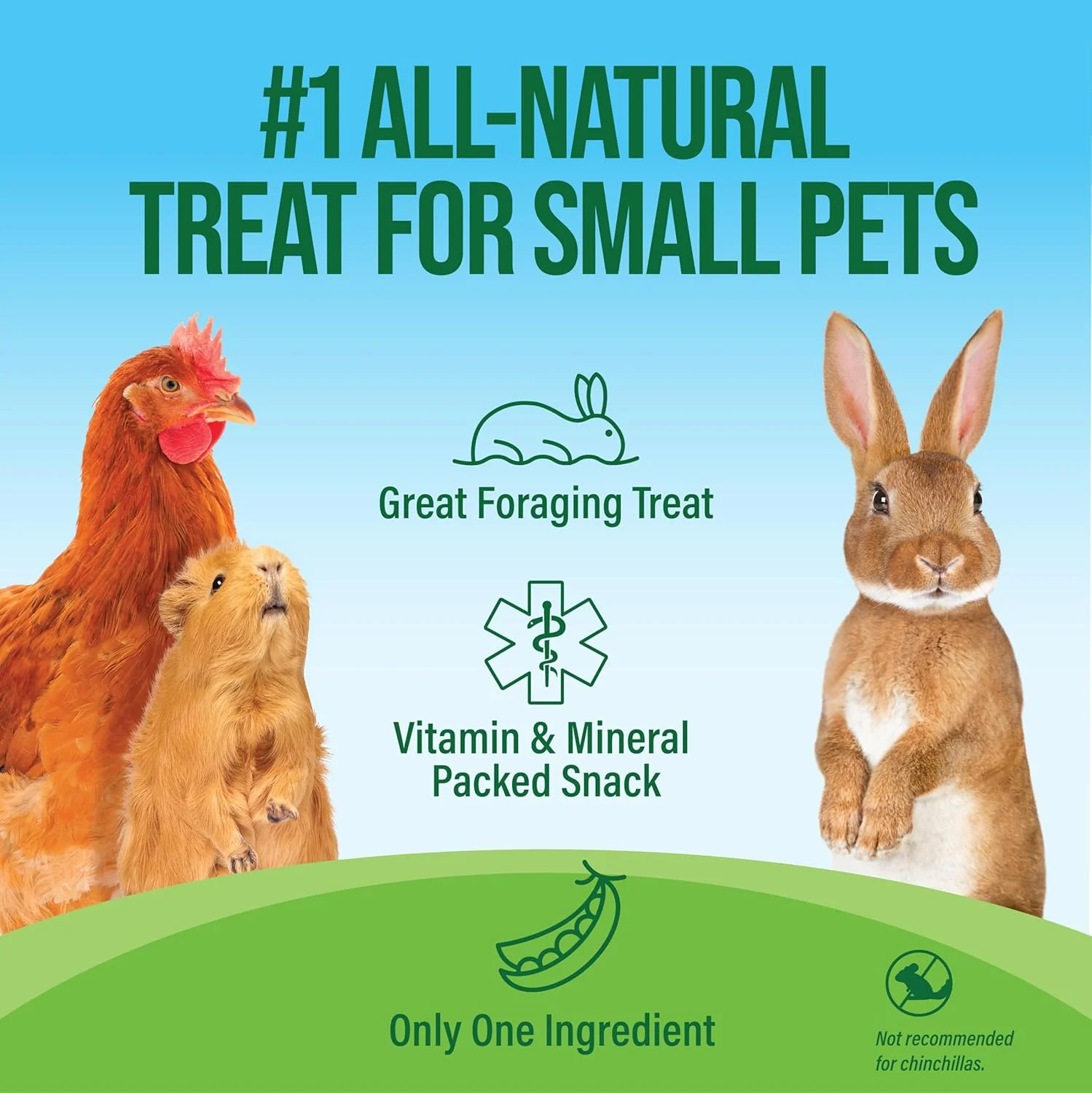 Small Pet Select Pea Flake Treats - 1kg - Image 3