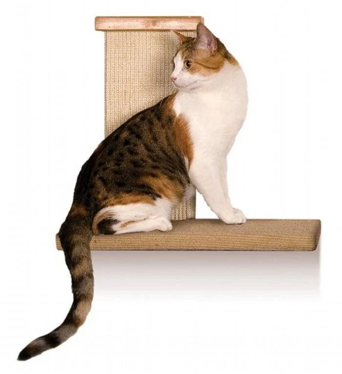 SmartCat Sky Wall Climber - Image 2