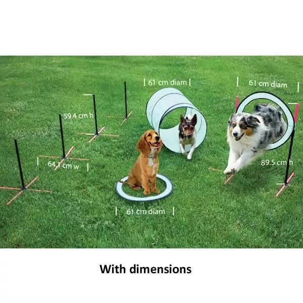 SportPet Agility Training Kit - Image 2