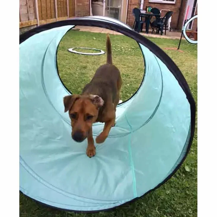 SportPet Agility Training Kit - Image 3