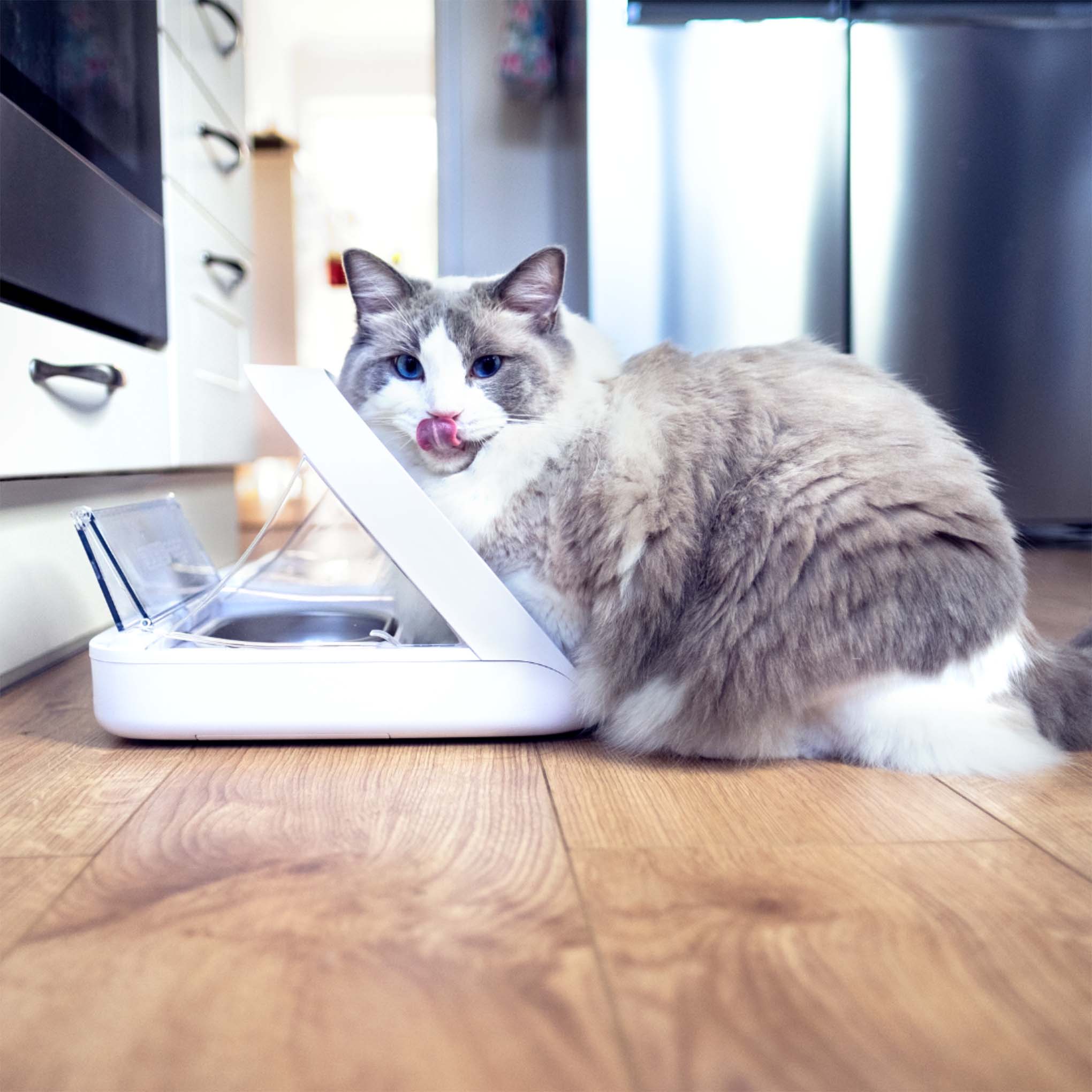SureFeed Microchip Pet Feeder Connect - Image 2