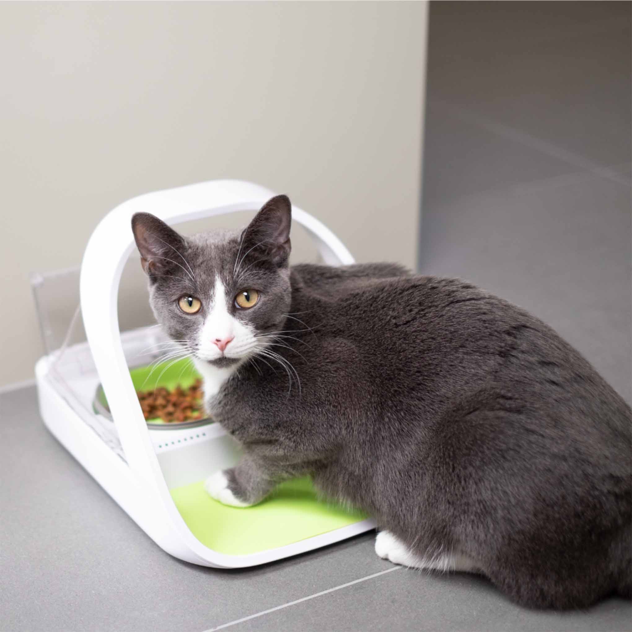 SureFeed Microchip Pet Feeder Connect & Hub Bundle - Image 2