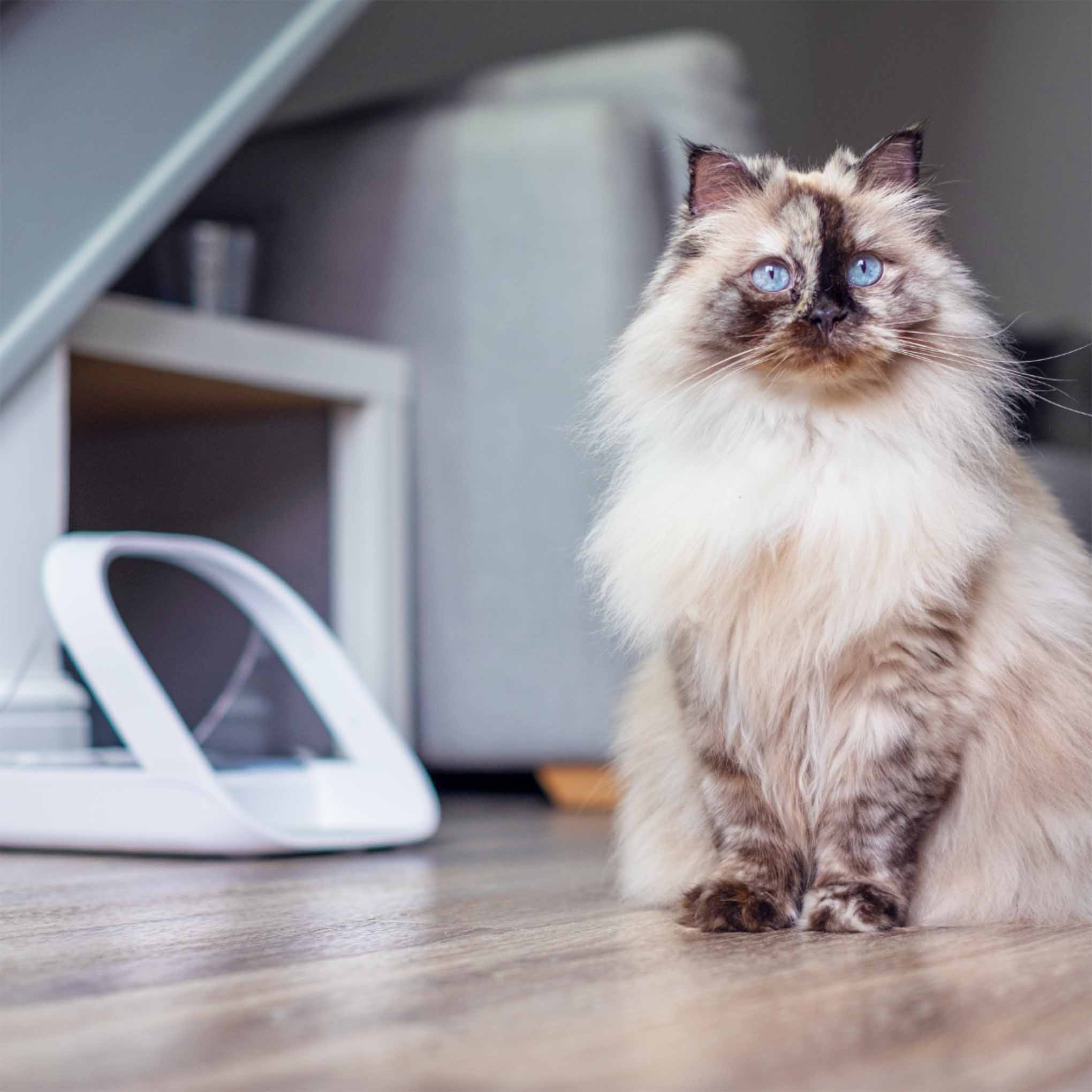 SureFeed Microchip Pet Feeder Connect & Hub Bundle - Image 4