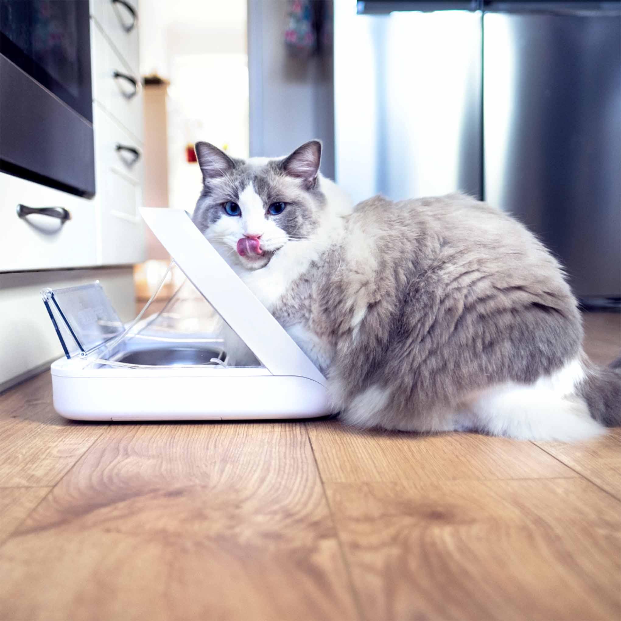 SureFeed Microchip Pet Feeder Connect & Hub Bundle - Image 5