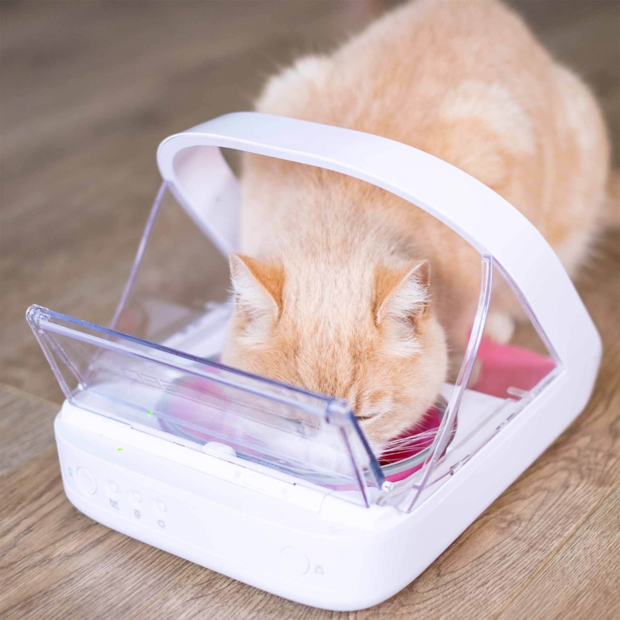 SureFeed Microchip Pet Feeder Connect & Hub Bundle - Image 6