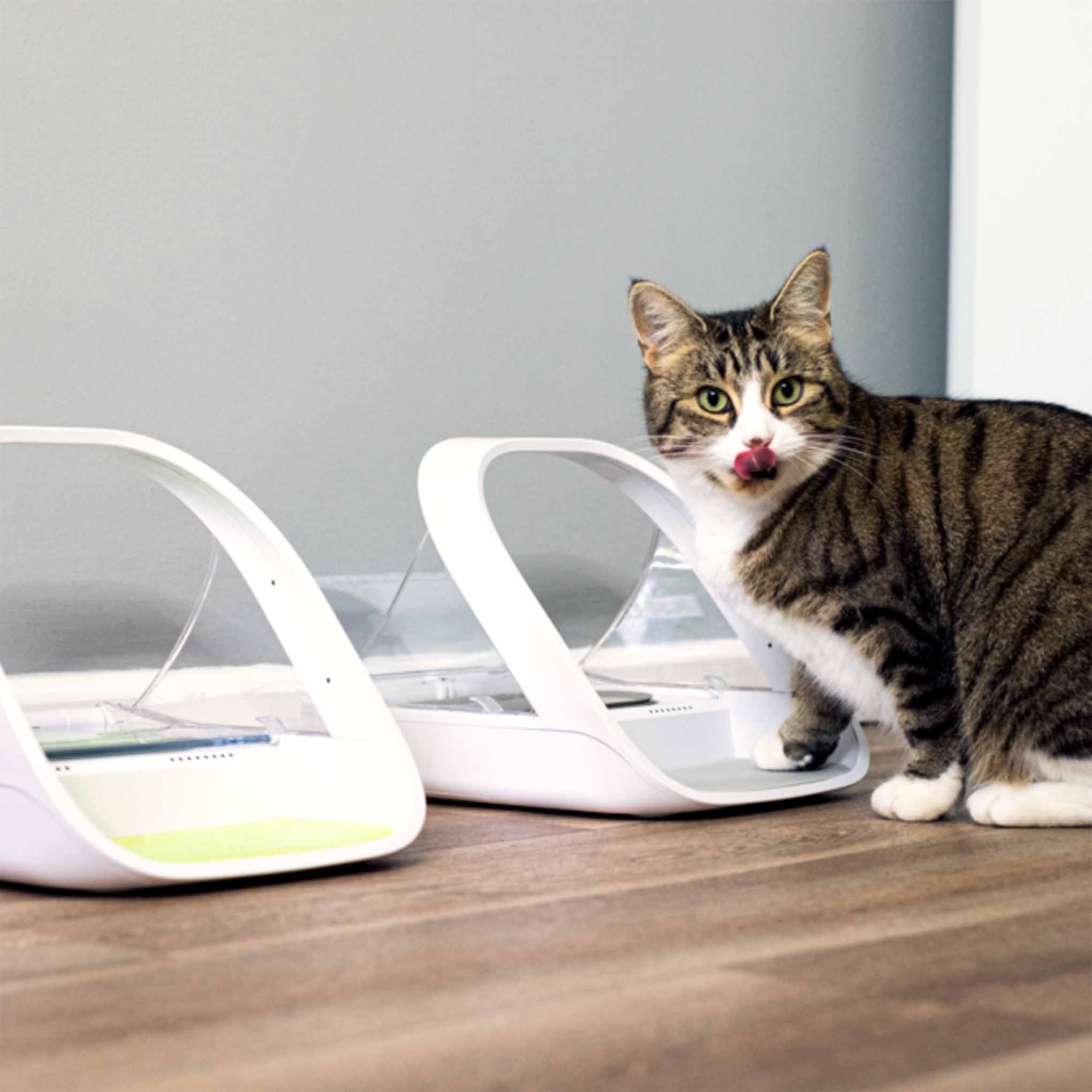 SureFeed Microchip Pet Feeder Connect & Hub Bundle - Image 7