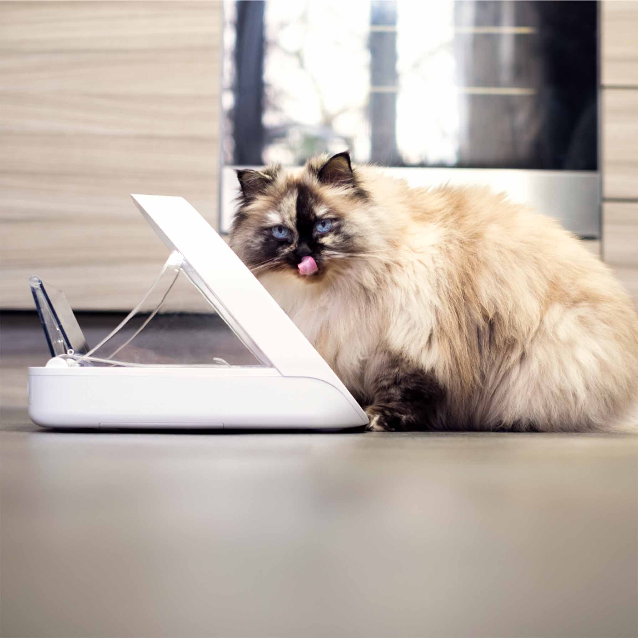 SureFeed Microchip Pet Feeder Connect & Hub Bundle - Image 8