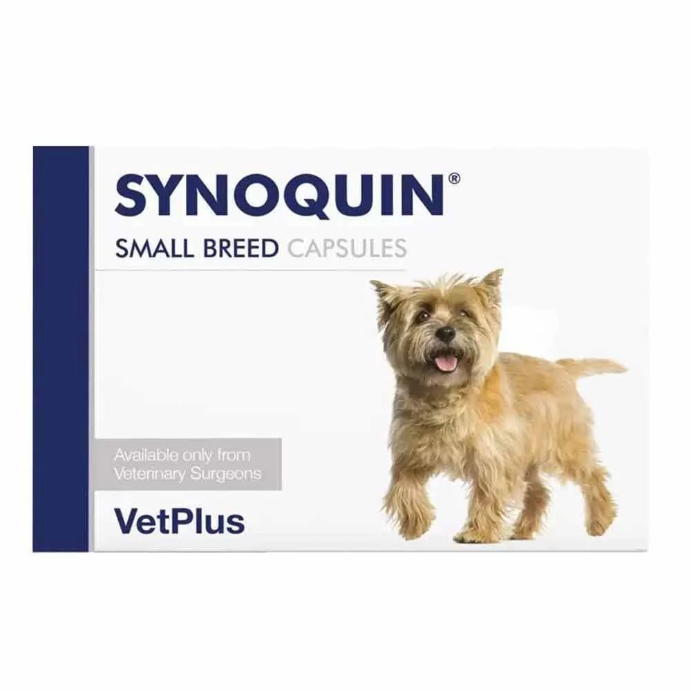 Synoquin Small Breed - 90 Capsules