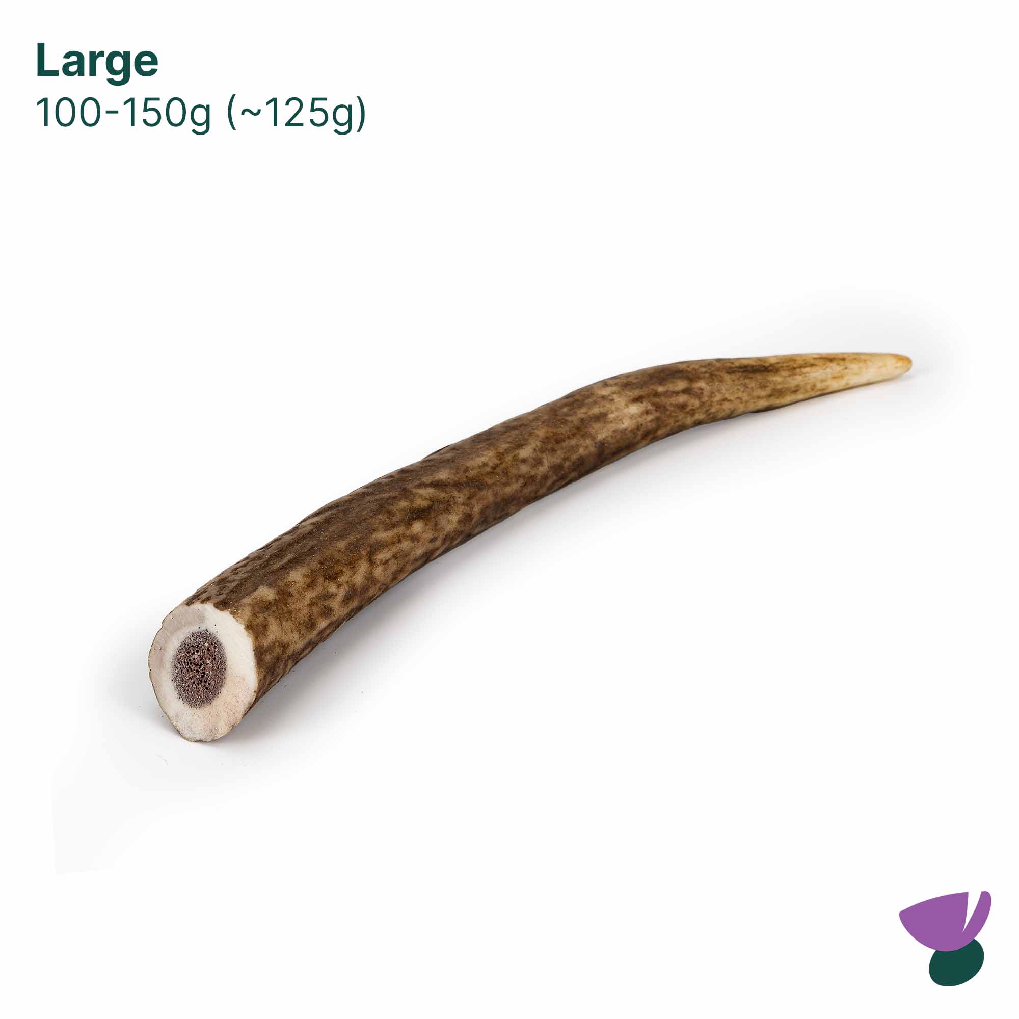 Thistlers Antler Dog Chew - Large - Image 4