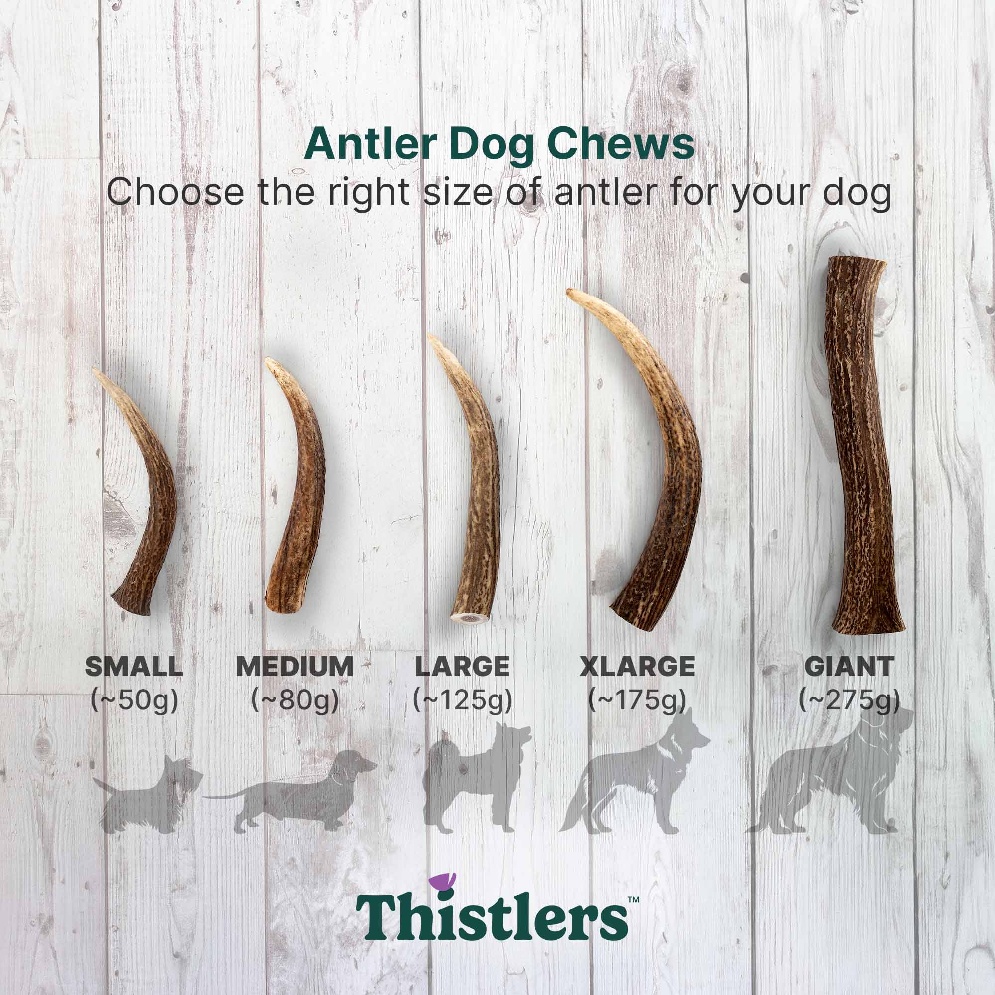 Thistlers Antler Dog Chew - Large - Image 6