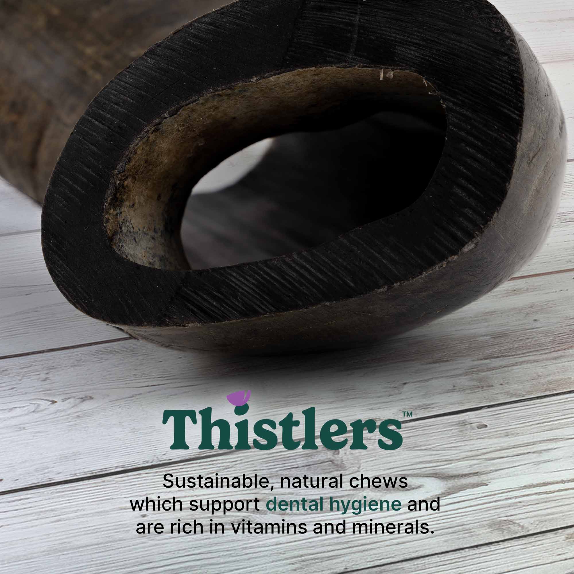Thistlers Buffalo Horn Dog Chew - Giant - Image 2