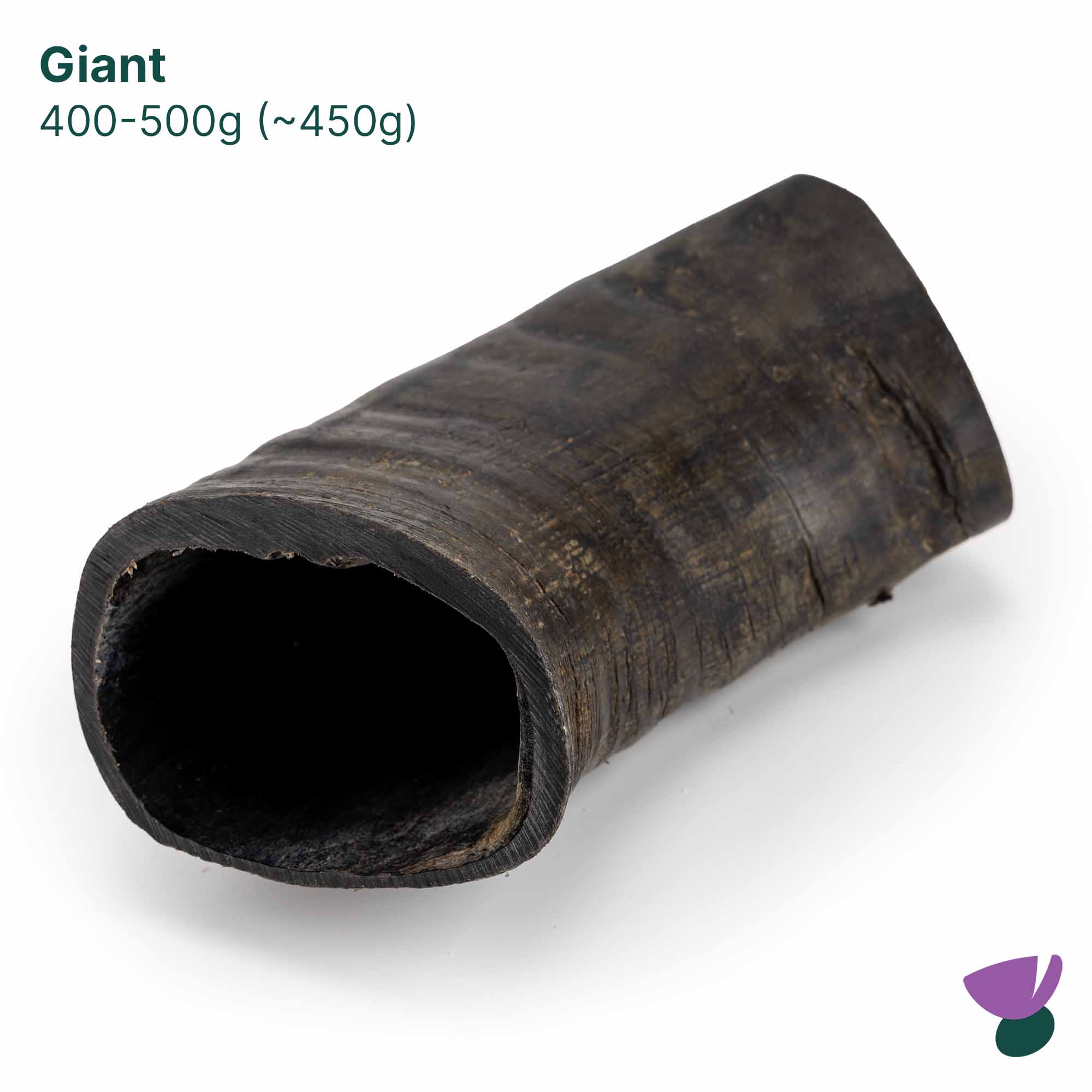 Thistlers Buffalo Horn Dog Chew - Giant - Image 3