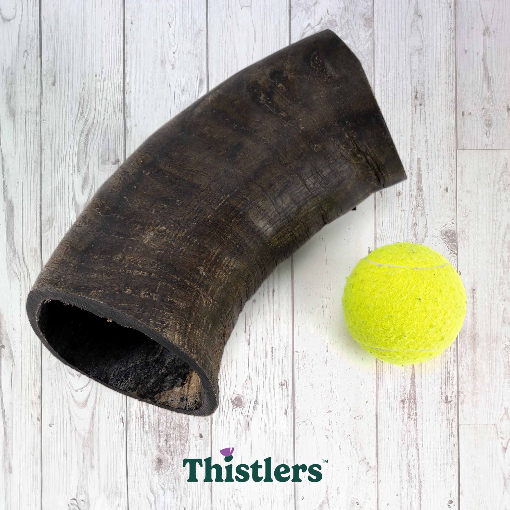 Thistlers Buffalo Horn Dog Chew - Giant - Image 4
