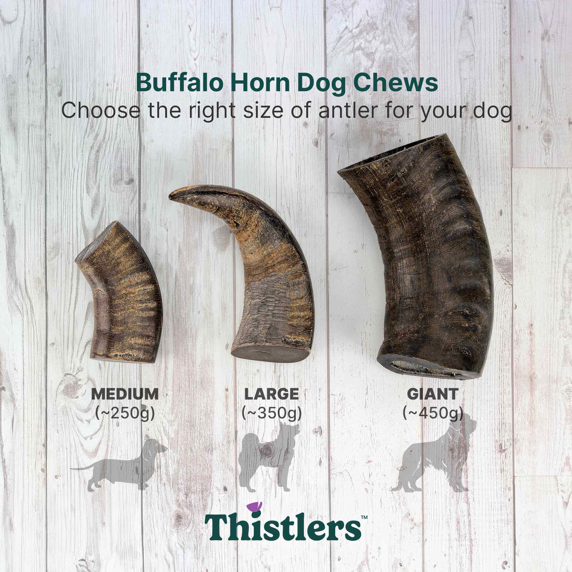 Thistlers Buffalo Horn Dog Chew - Giant - Image 6
