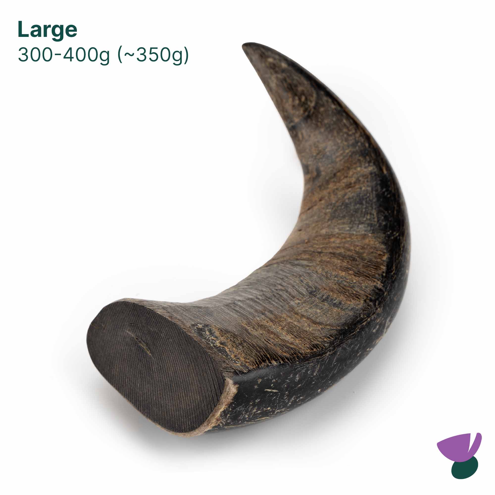 Thistlers Buffalo Horn Dog Chew - Large - Image 4