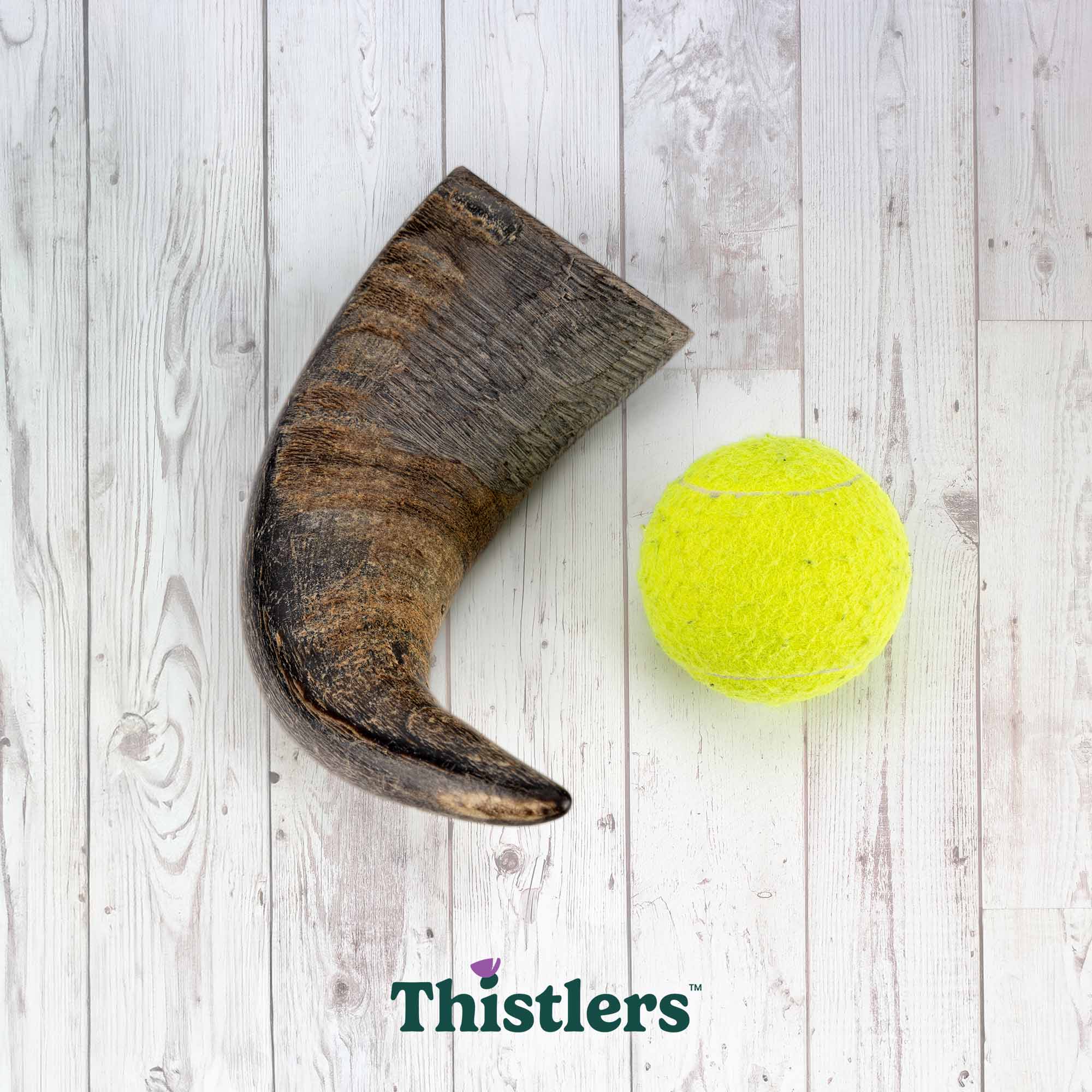 Thistlers Buffalo Horn Dog Chew - Large - Image 6