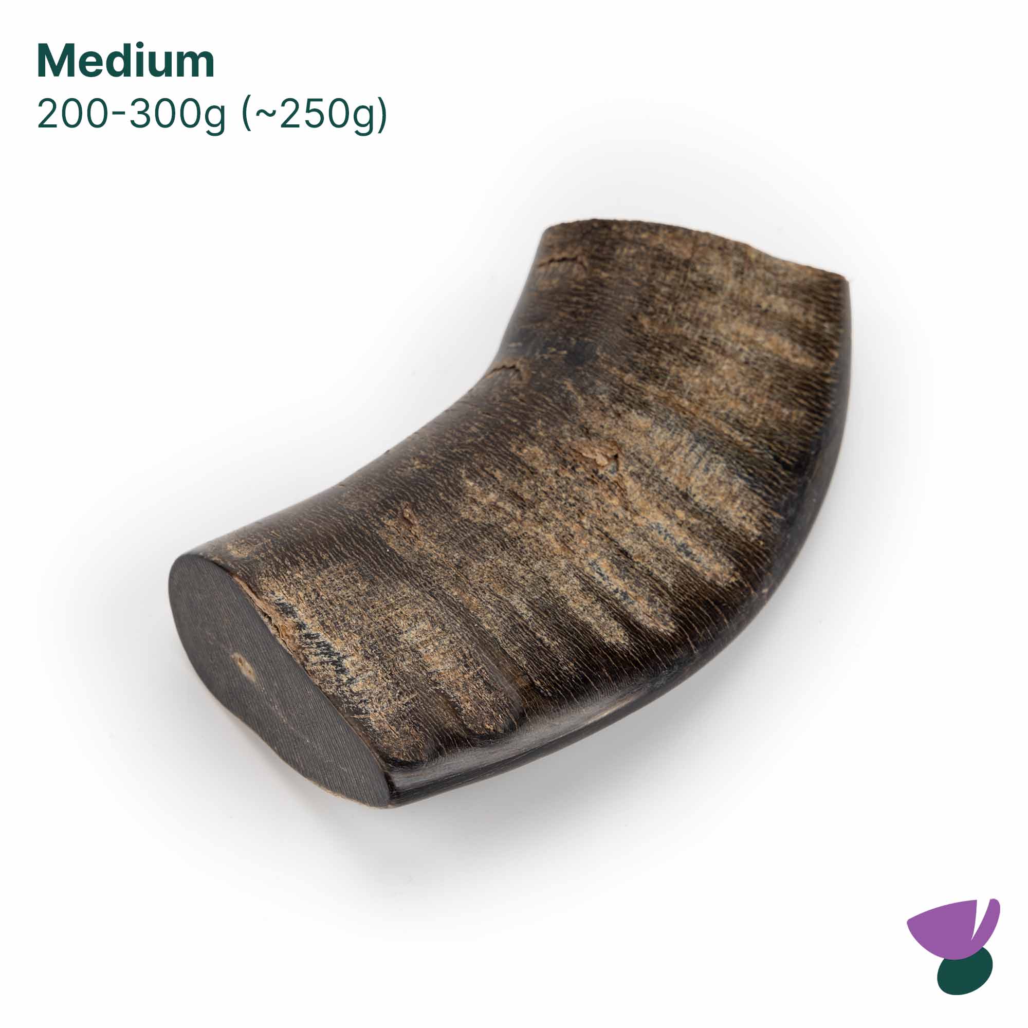 Thistlers Buffalo Horn Dog Chew - Medium - Image 3