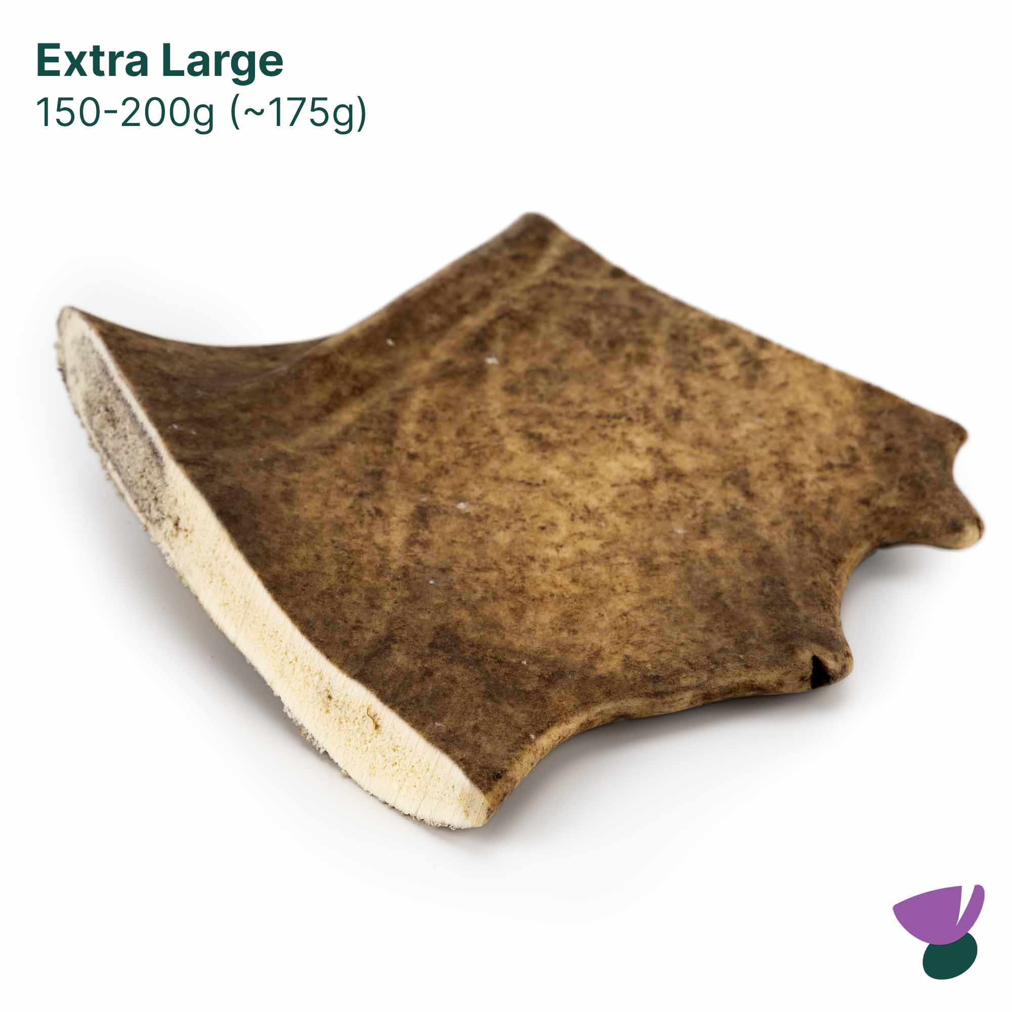 Thistlers Fallow Antler Dog Chew - Extra Large - Image 3