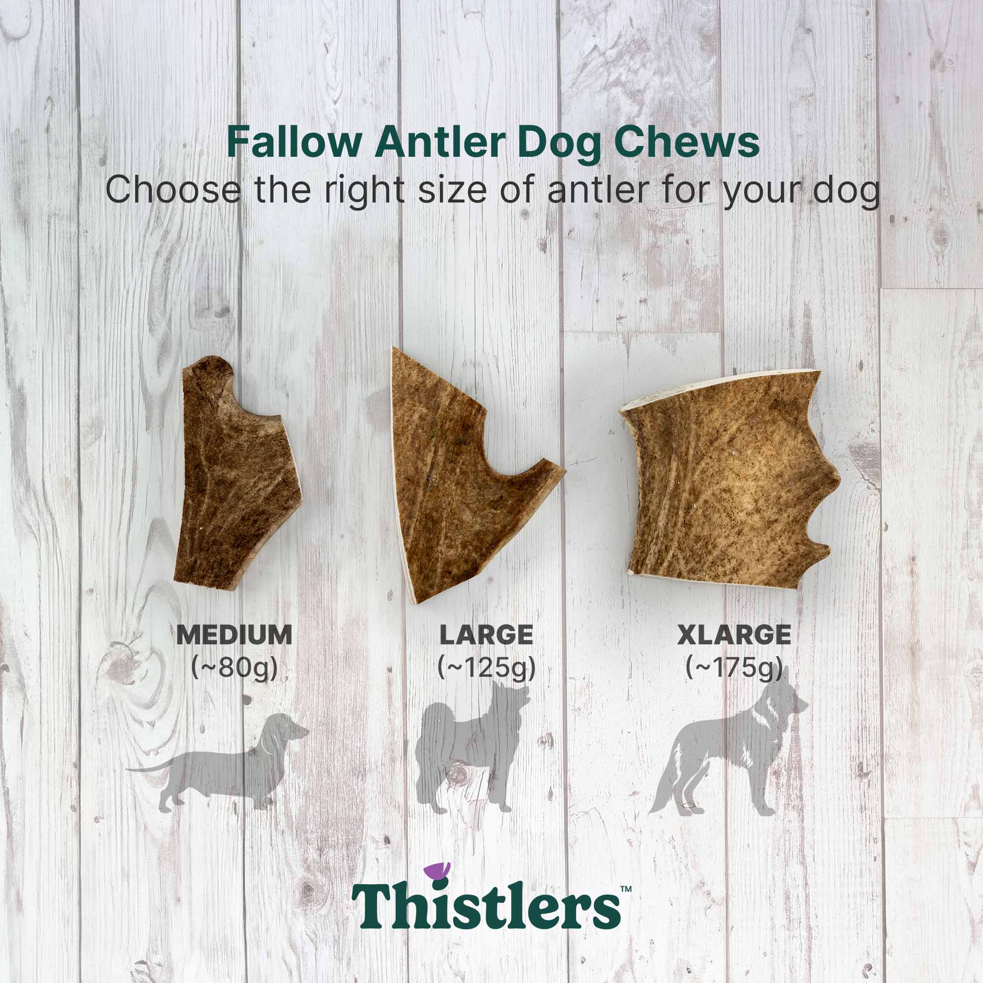 Thistlers Fallow Antler Dog Chew - Extra Large - Image 7