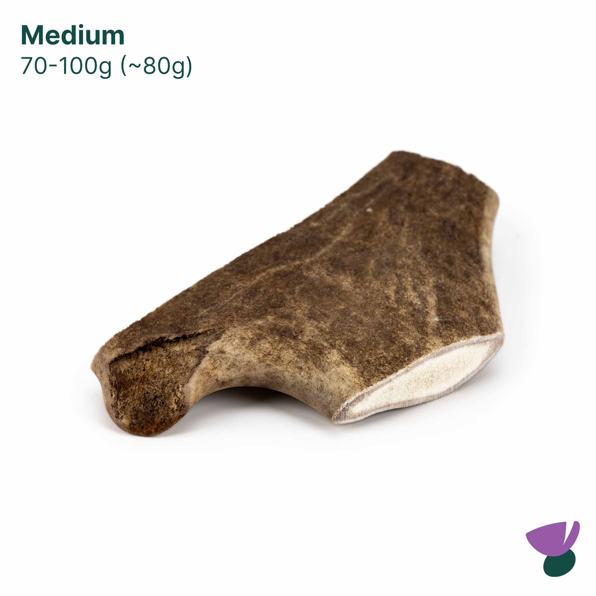 Thistlers Fallow Antler Dog Chew - Medium - Image 3