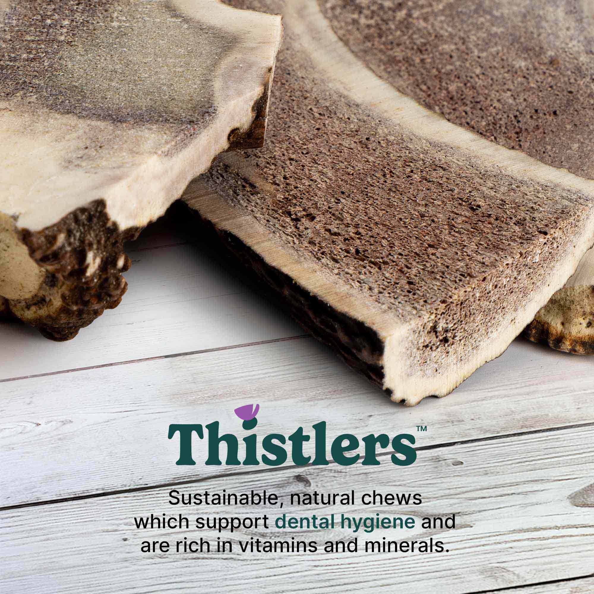 Thistlers Split Antler Dog Chew - Extra Large - Image 2