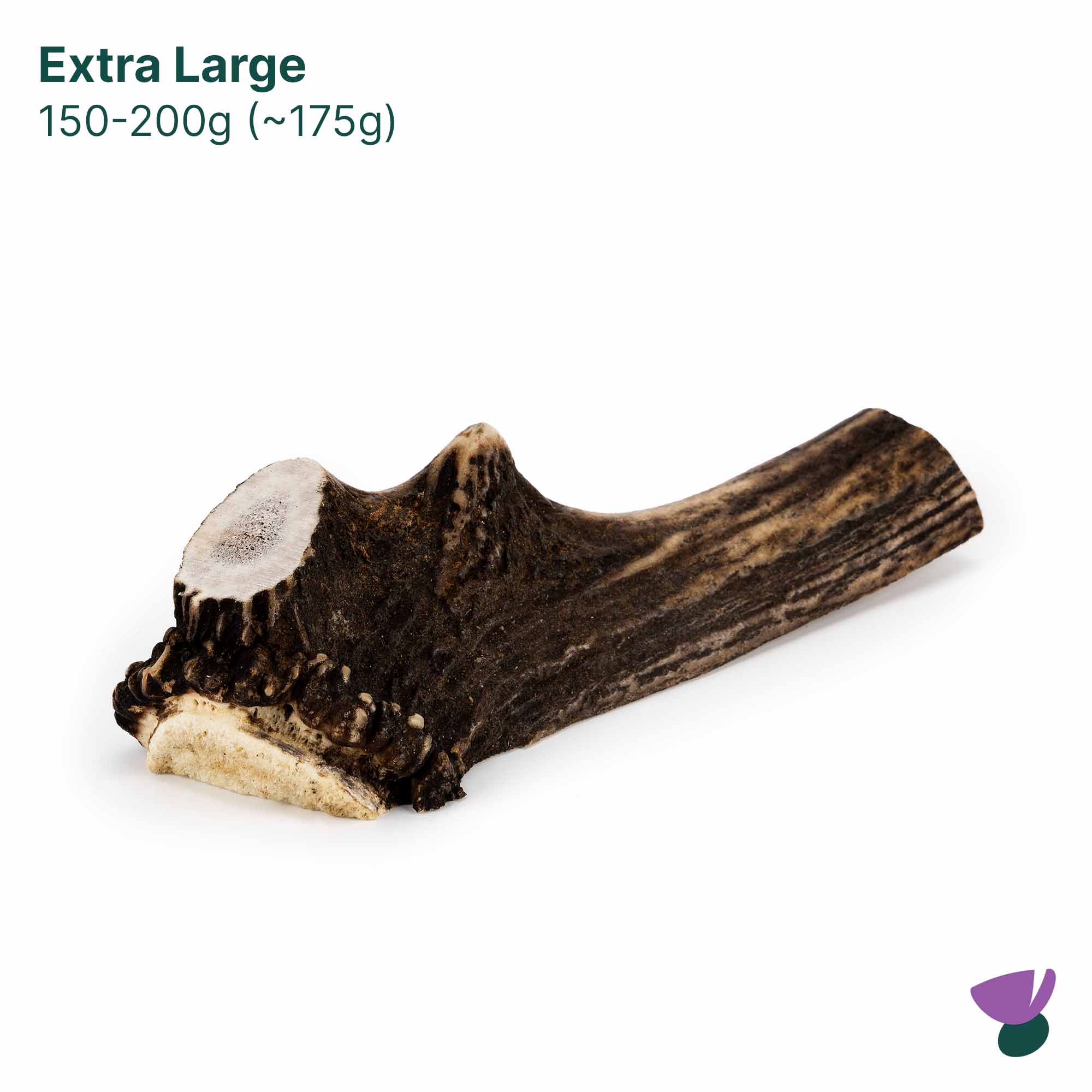 Thistlers Split Antler Dog Chew - Extra Large - Image 3