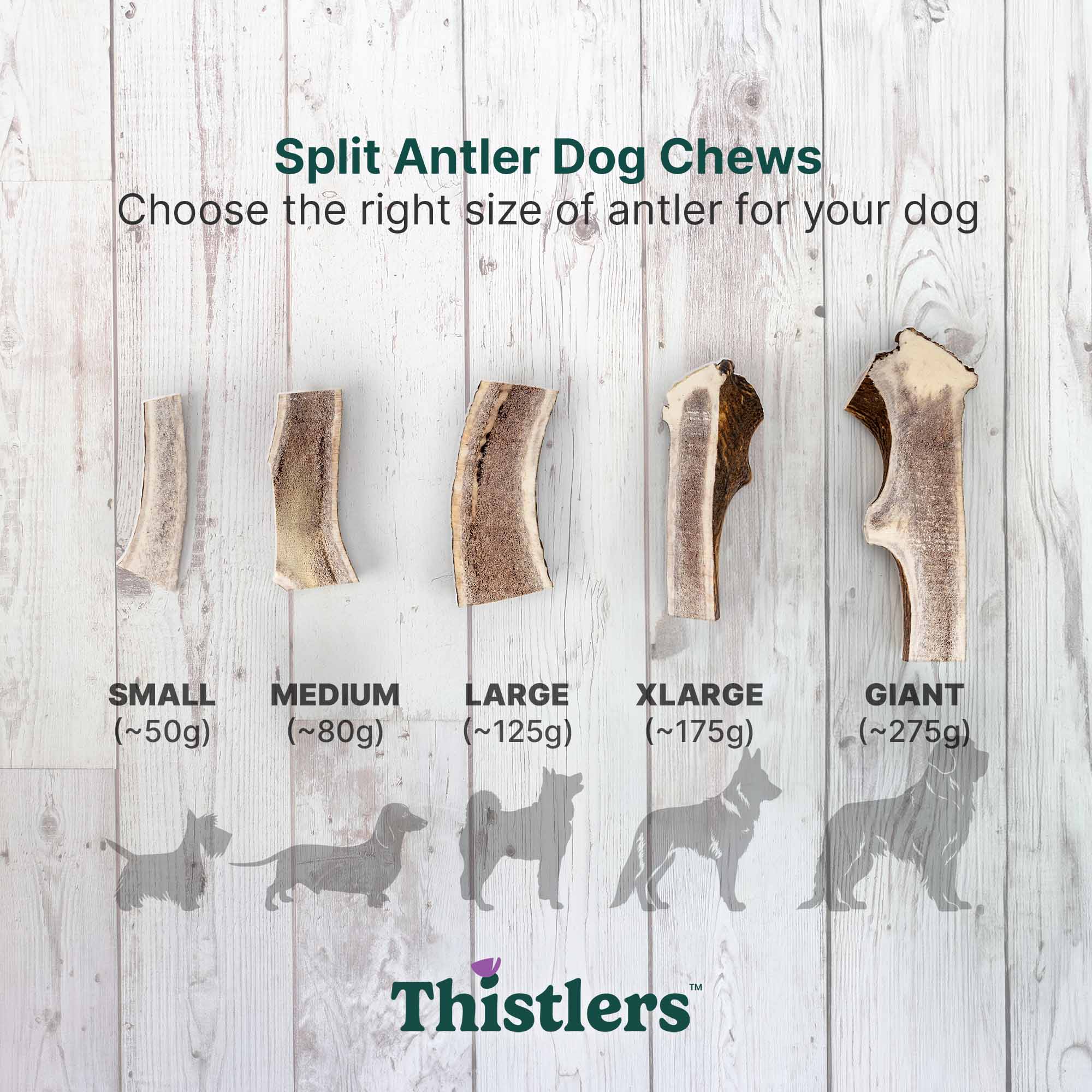 Thistlers Split Antler Dog Chew - Extra Large - Image 5