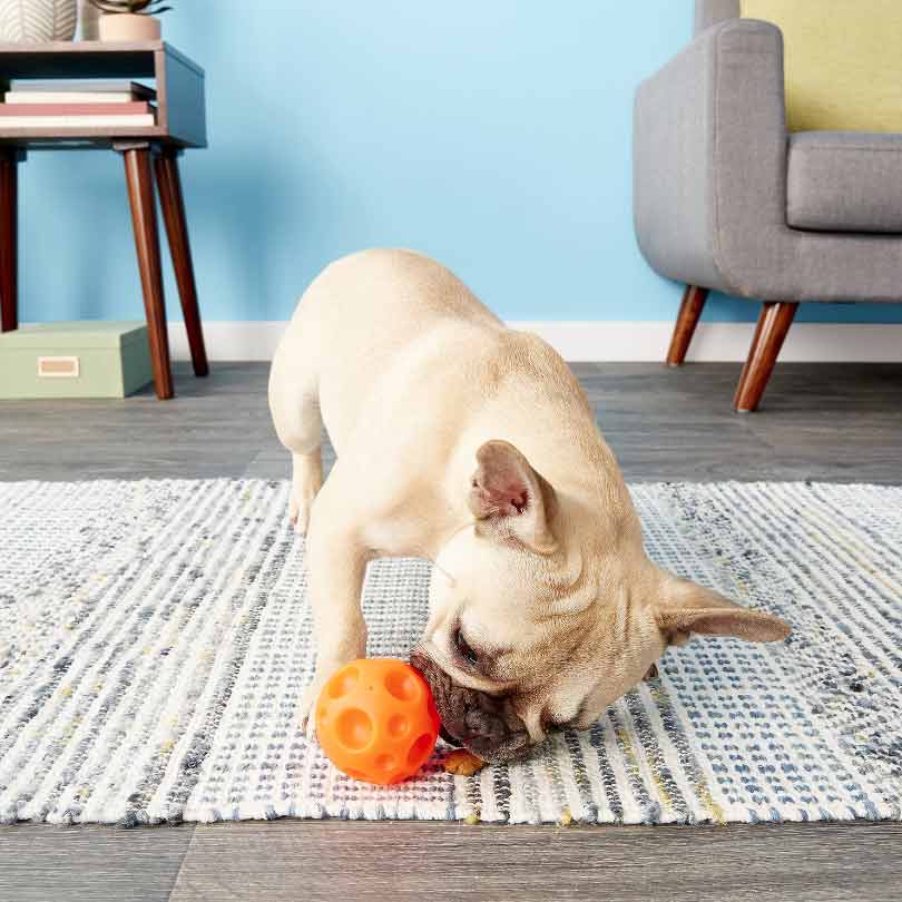 Tricky Treat Ball Dispensing Dog Toy