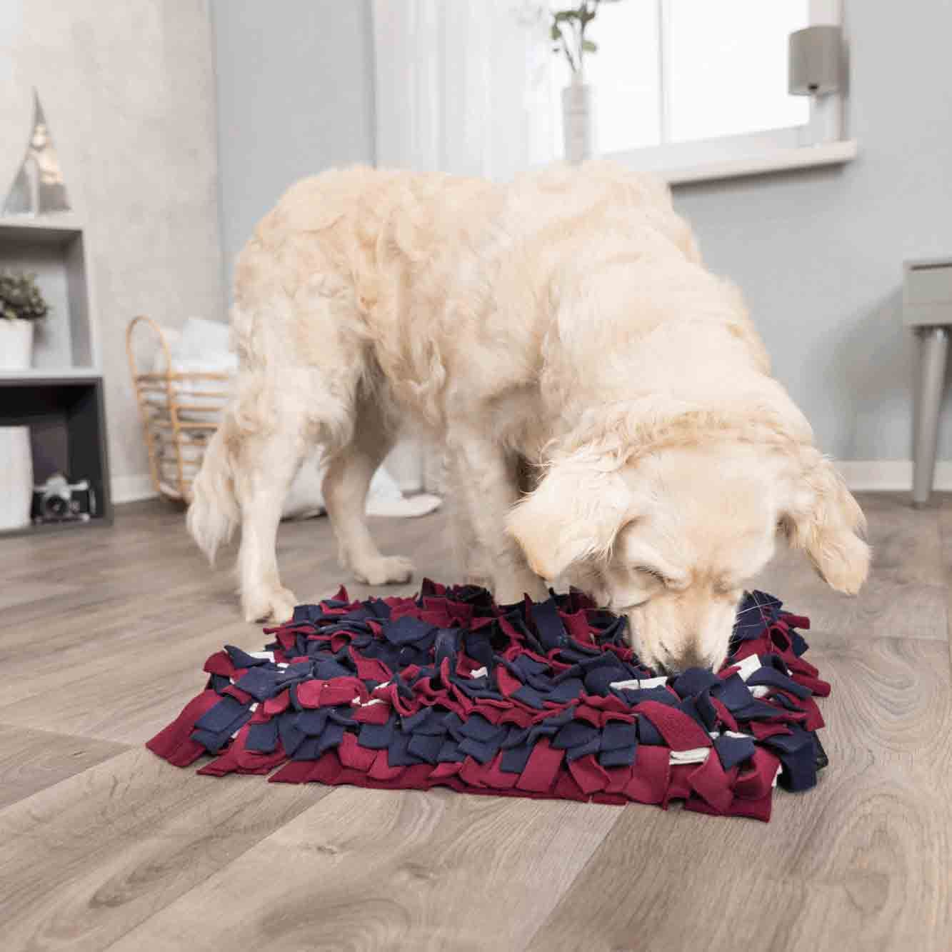 Trixie Dog Activity Sniffing Carpet Dog Toy - Medium