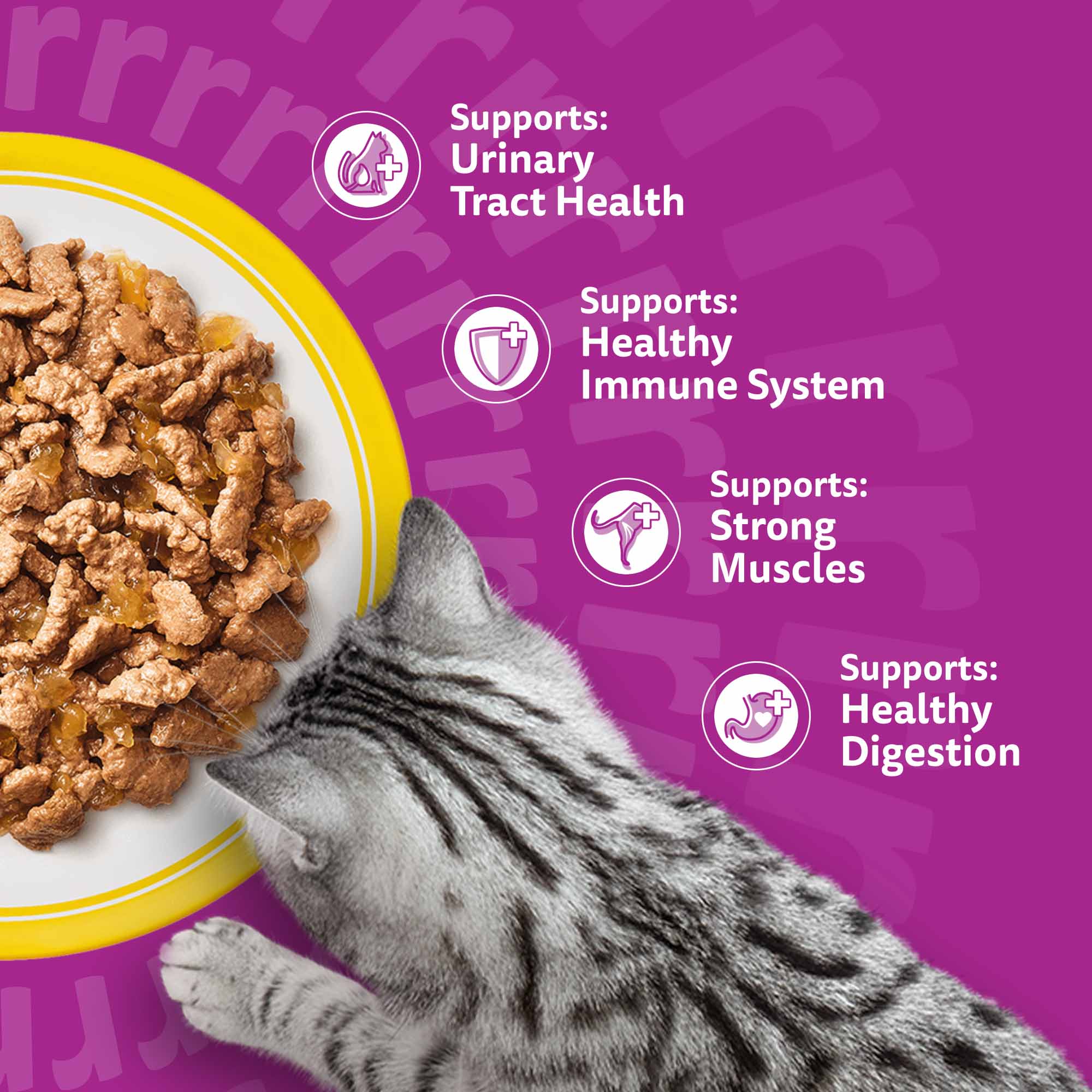 WHISKAS 7+ Senior Wet Cat Food in Jelly - Poultry Feasts - 40x85g Pouches - Image 8