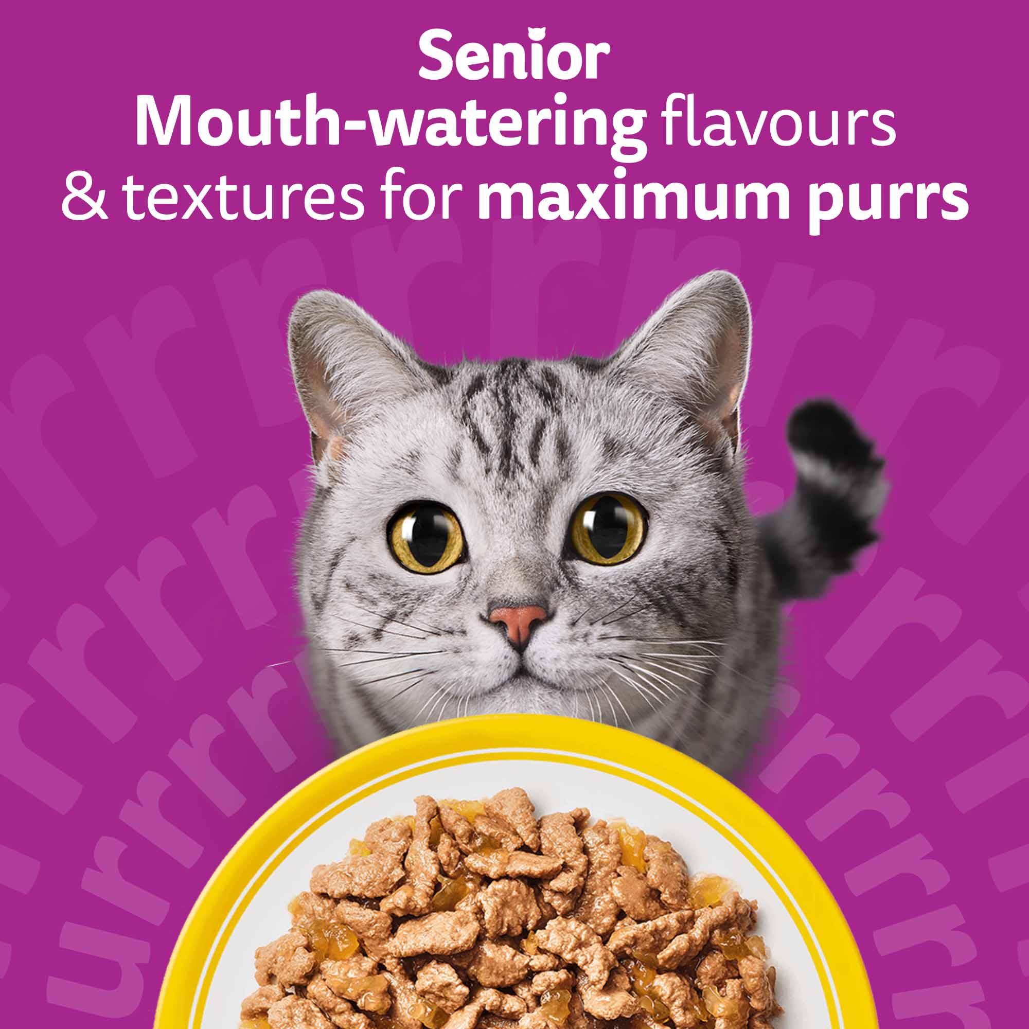 WHISKAS 7+ Senior Wet Cat Food in Jelly - Poultry Feasts - 40x85g Pouches - Image 9
