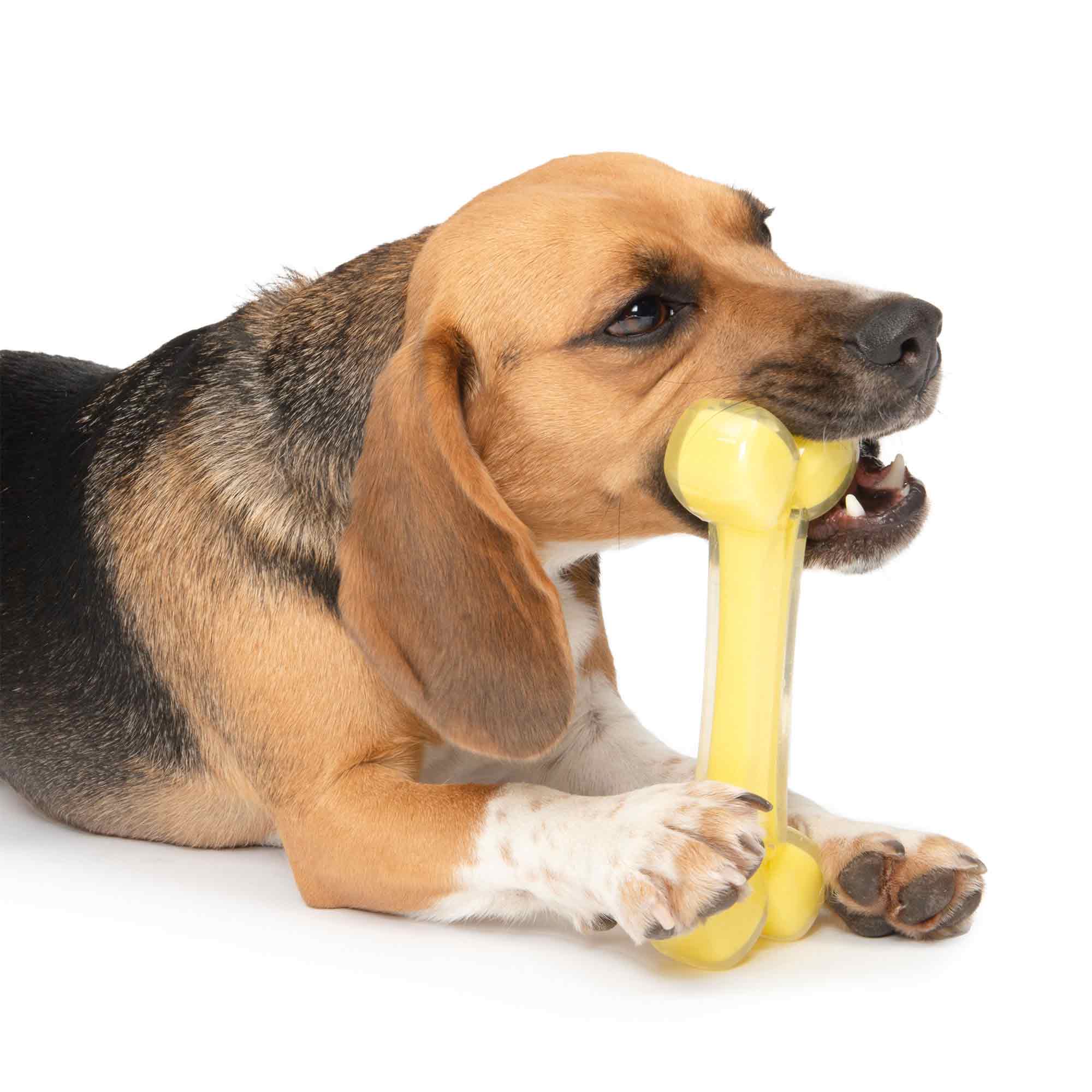 Zeus DUO Bone Dog Toy - Coconut Scented - Image 2